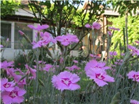 89ee9153-Picture 473.jpg